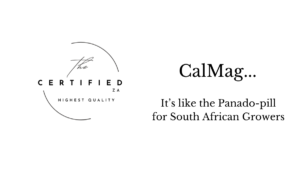 Cal Mag, its like a panado