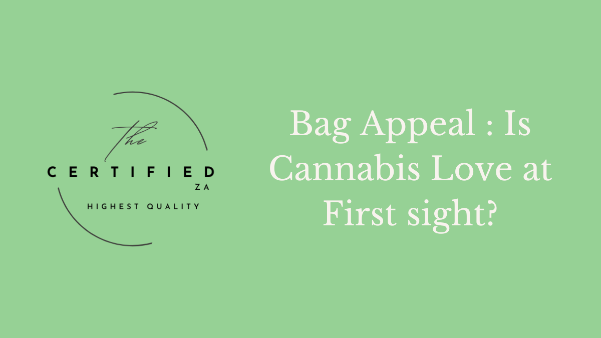 Bag appeal feature image