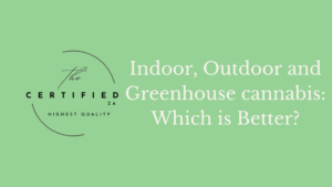 indoor outdoor and greenhouse cannabis cultivation. Which is better?