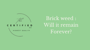 Brick weed feature image
