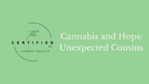 Cannabis and hops image