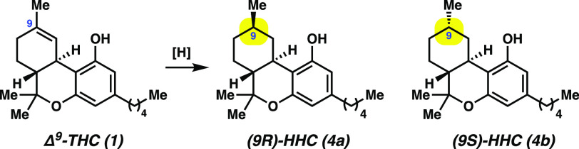 Roger Adams hhc work