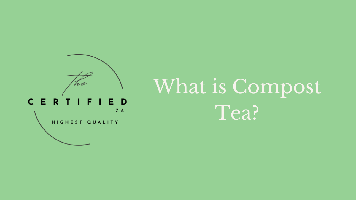 Compost tea Feature image