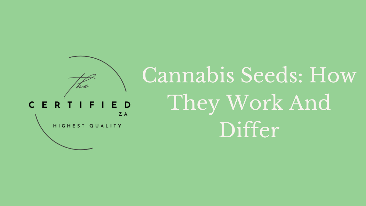 Cannabis Seeds: How They Work And Differ