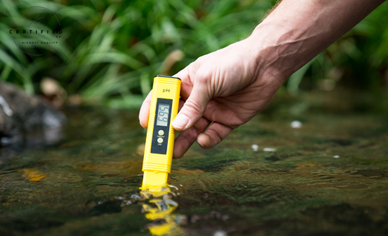 growing cannabis outdoors