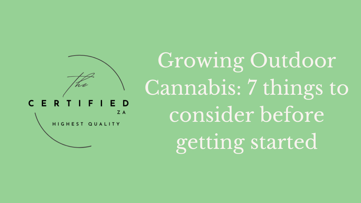 Growing Cannabis Outdoors: 7 Things To Consider When Getting Started