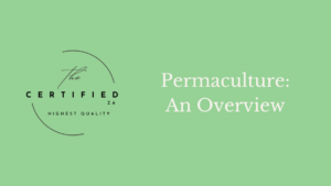 Permaculture an overiew