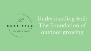 Understanding Soil