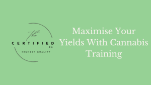 Maximise your yield