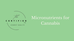Micronutrients for cannabis plant