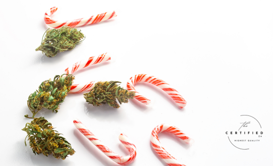 A South African Christmas with Cannabis