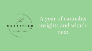 a year of cannabis insights