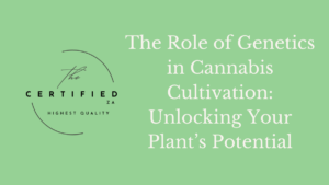 The Role of Genetics in Cannabis Cultivation: Unlocking Your Plant’s Potential