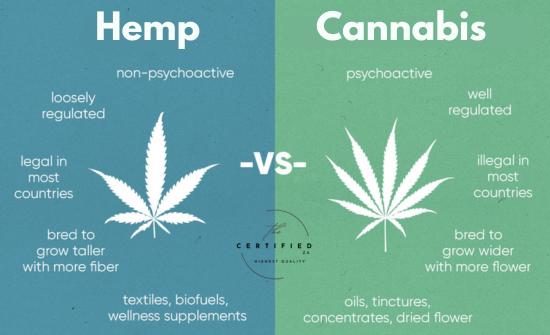 is cannabis and hemp the same thing?