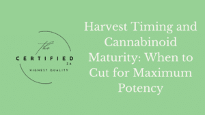 Harvest Timing and Cannabinoid Maturity