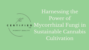 Harnessing the Power of Mycorrhizal Fungi