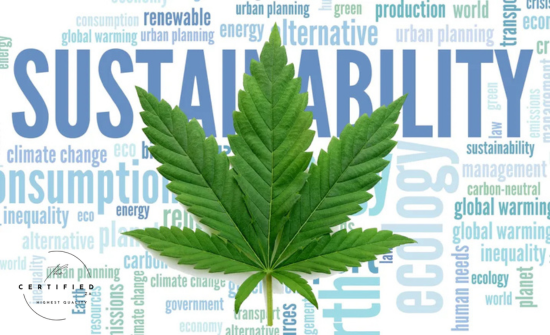 Sustainable Cannabis Cultivation