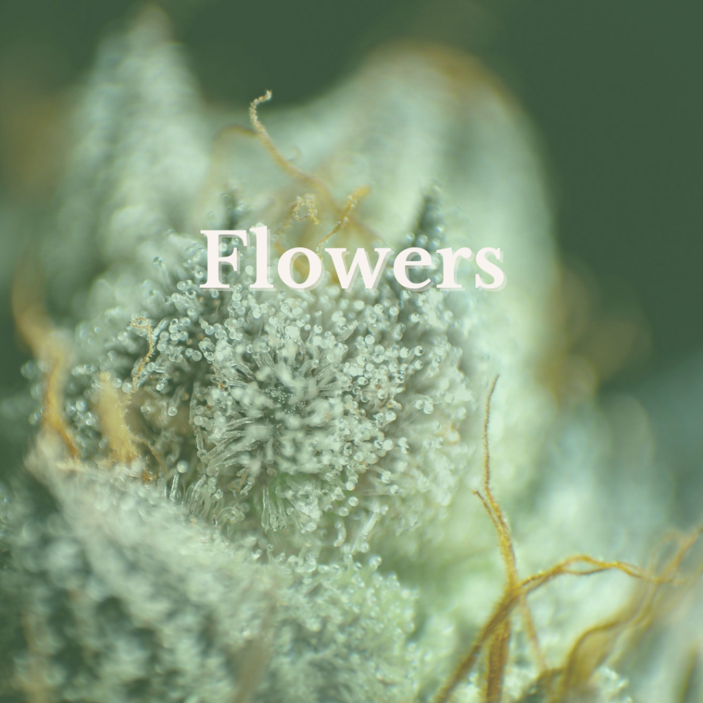 Cannabis Flowers