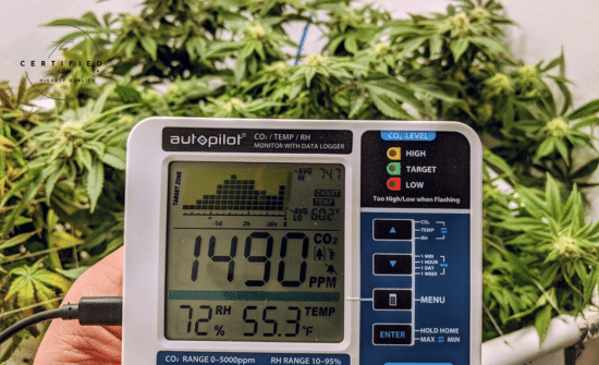 Enrichment in Cannabis Cultivation