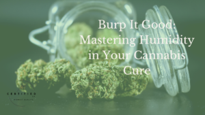 Humidity in your cannabis