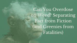 overdose on weed