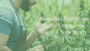 Cannabis Nutrition