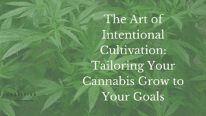 Intentional cultivation