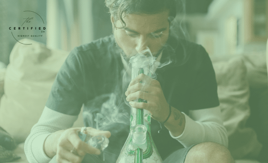 cannabis consumption