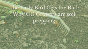 soil prepping