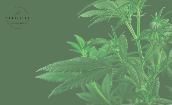 plant growth regulators