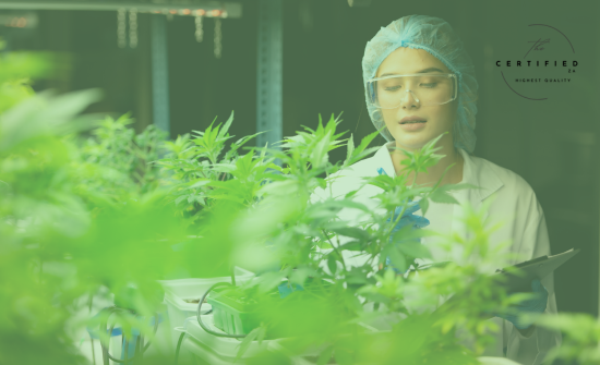 plant growth regulators