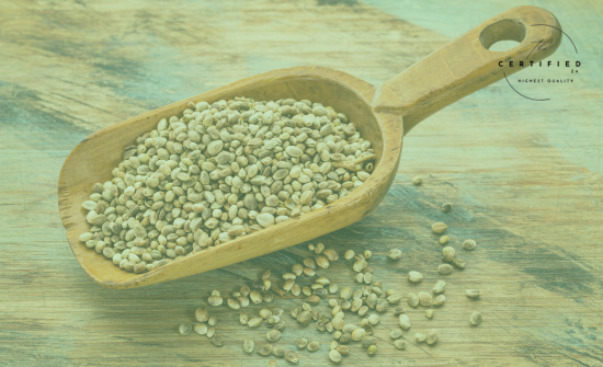 cannabis and hemp seeds