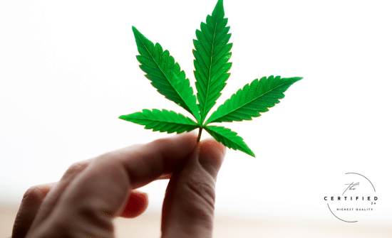 rare compounds in cannabis