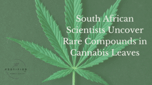 Rare Compounds in Cannabis