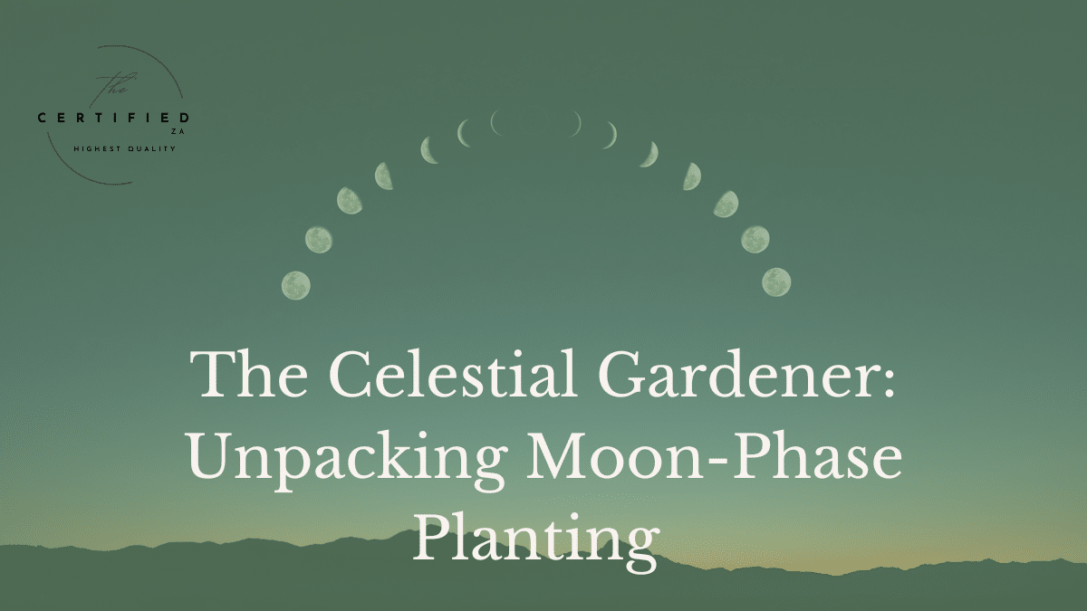 moon-phase planting