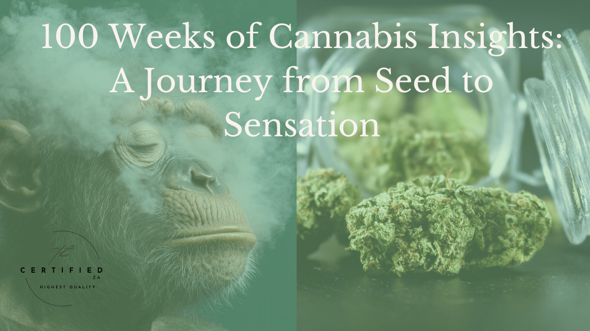 cannabis insights