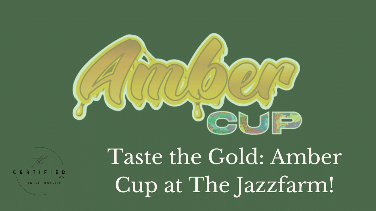 amber cup