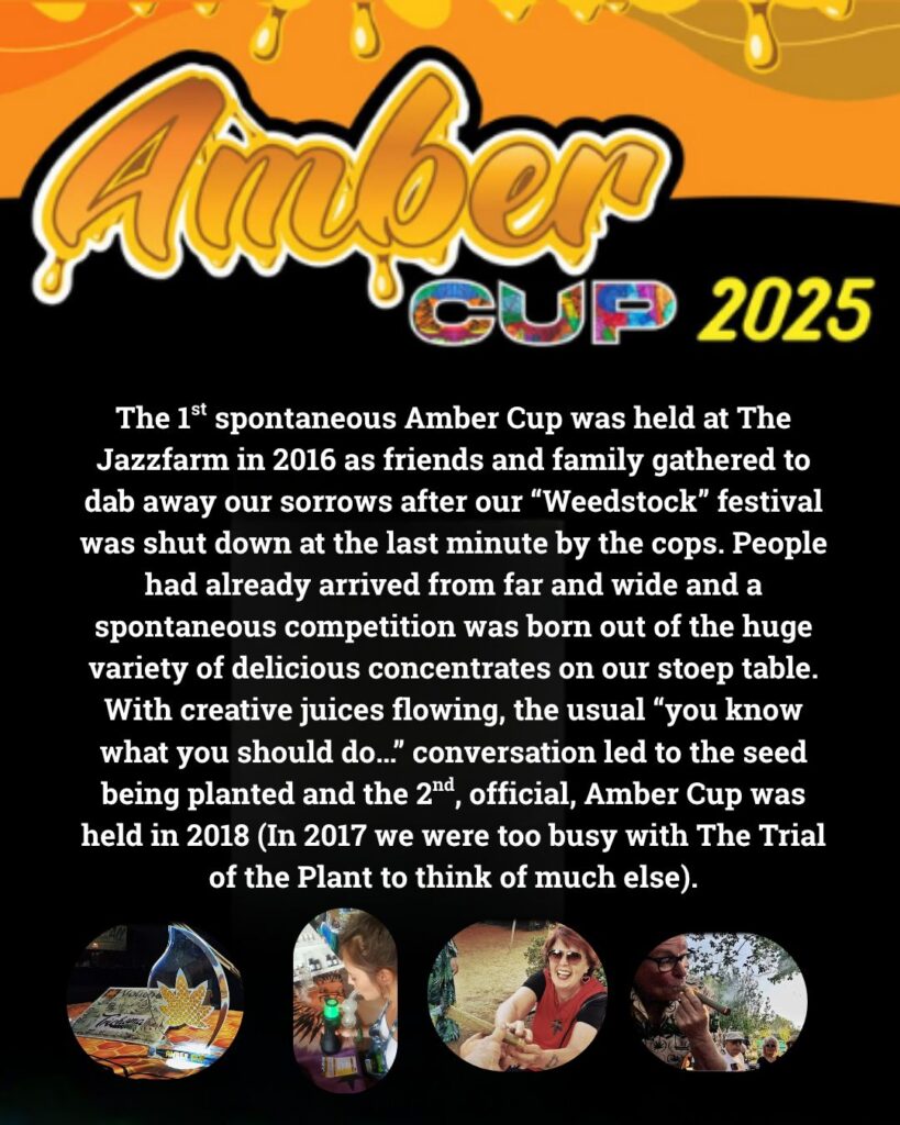 amber cup