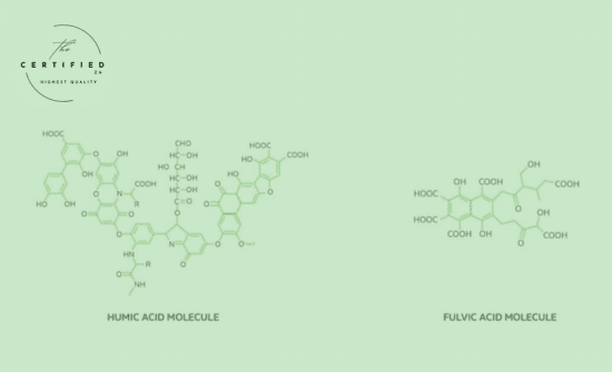 Humic and fulvic acids