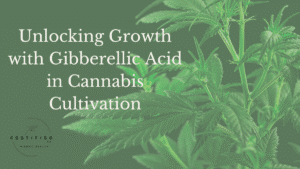 Gibberellic acid