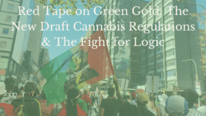 cannabis regulations