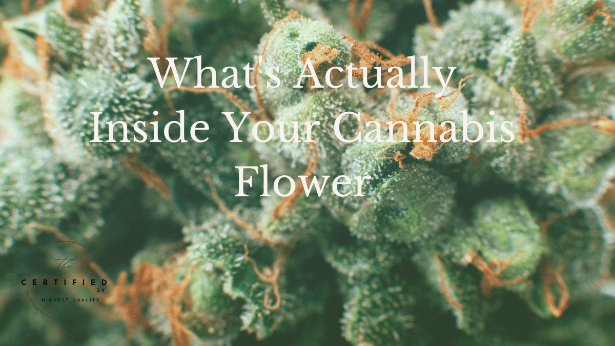 cannabis flower