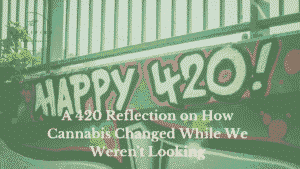 A 420 Reflection on How Cannabis Changed While We Weren't Looking