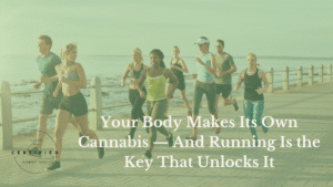 own cannabis