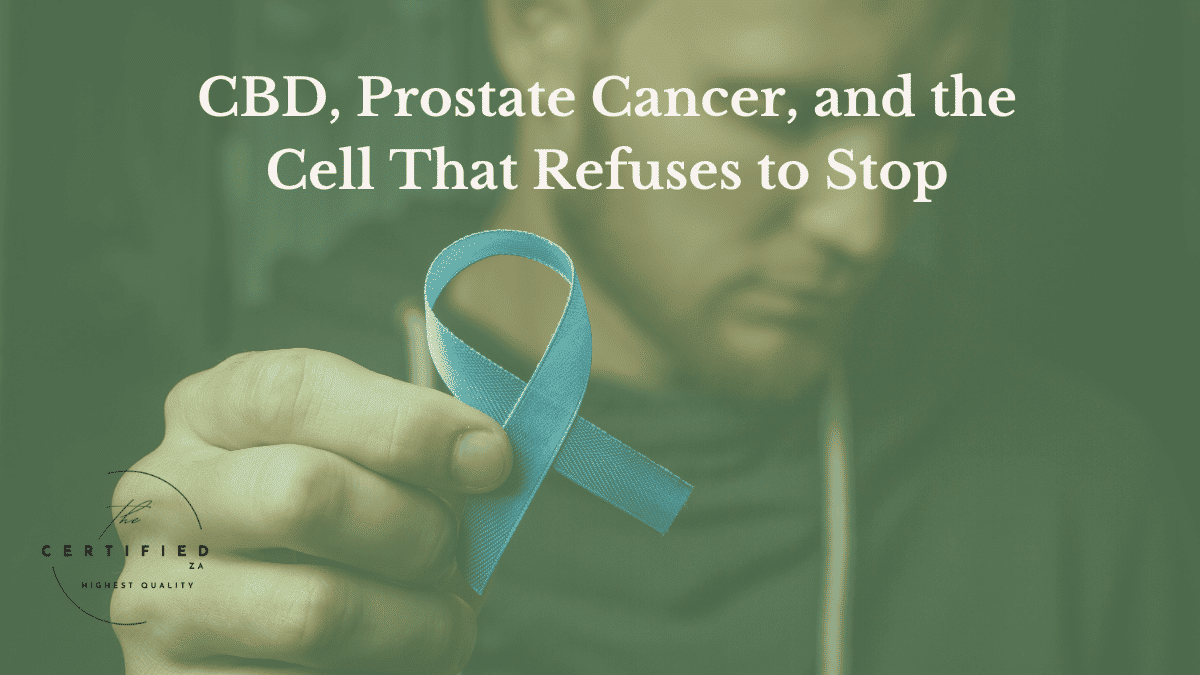 CBD, Prostate Cancer, and the Cell That Refuses to Stop