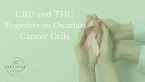 CBD and THC Together in Ovarian Cancer Cells