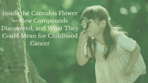 Inside the Cannabis Flower — New Compounds Discovered, and What They Could Mean for Childhood Cancer