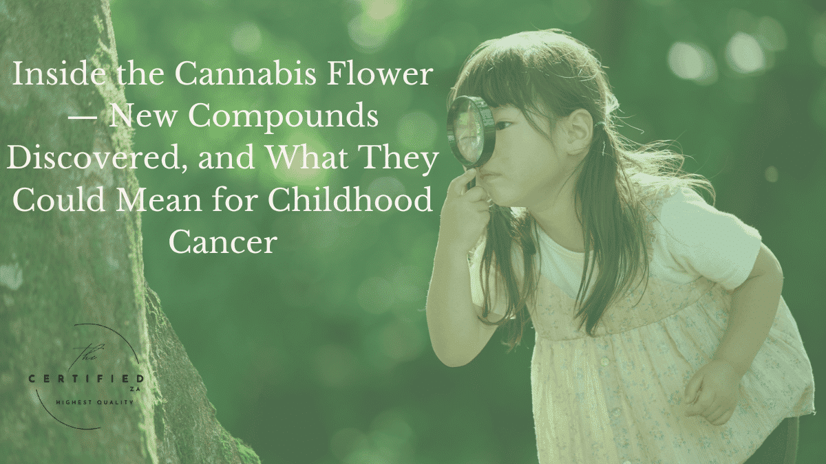Inside the Cannabis Flower — New Compounds Discovered, and What They Could Mean for Childhood Cancer