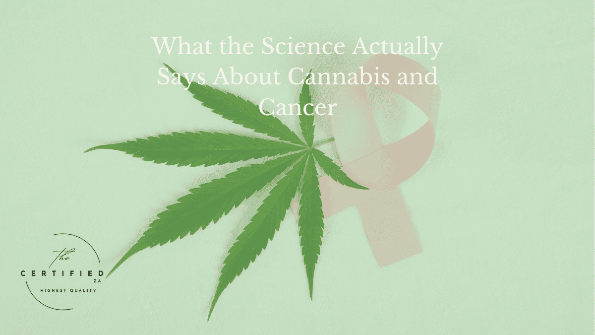 cannabis and cancer