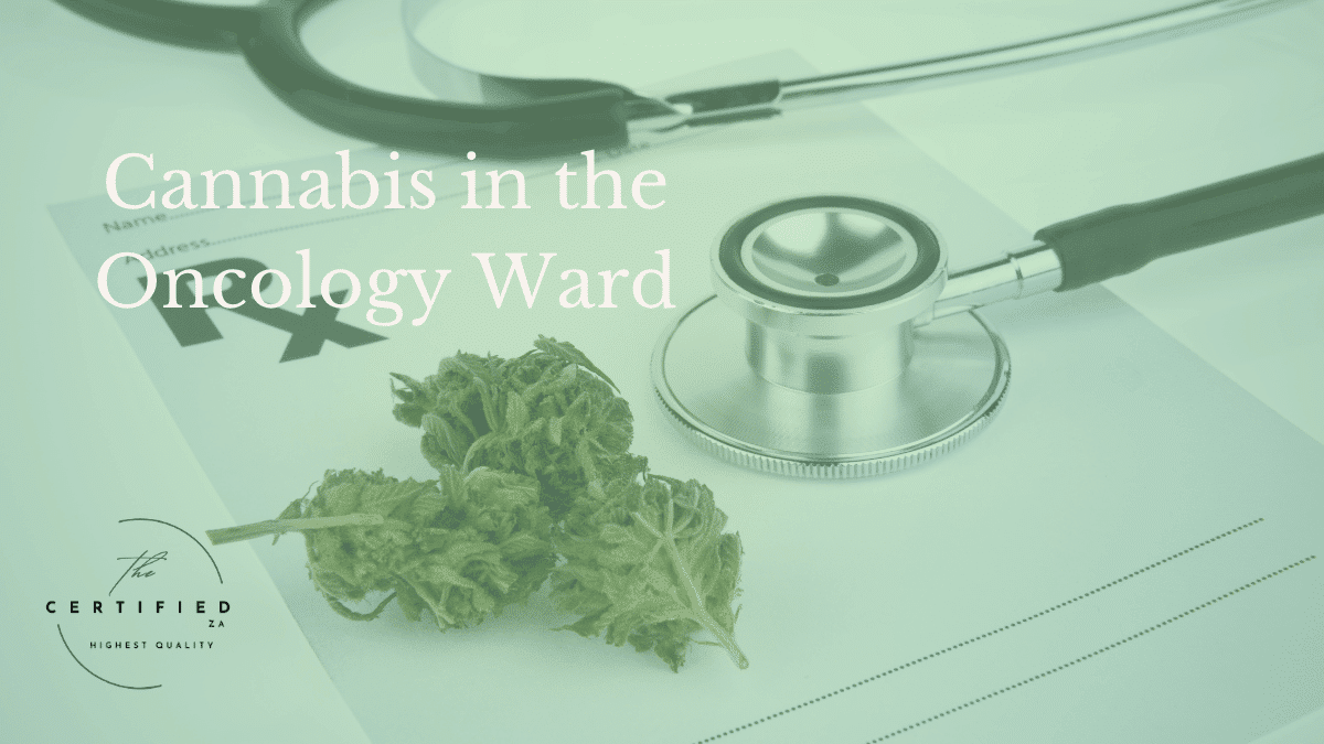Cannabis in the Oncology Ward